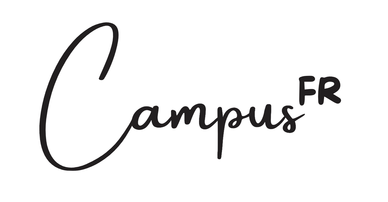 Курс французского языка. Уровень B1